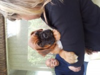 /album/fotogalerij/a2011-06-18-16-11-14-1-jpg/